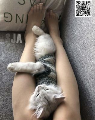 电梯另类性体验_BD韩语BD在线观看